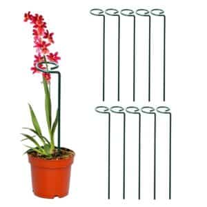 Zilotyshopping 2 Pcs Plant Support Stake | Durable Garden Plant Support for Pots & Climbing Plants | Reusable Plant Stand for Indoor & Outdoor Use